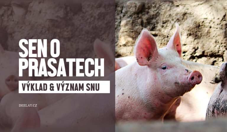 Sen o praseti: Hojnost, chamtivost nebo ztráta rovnováhy?