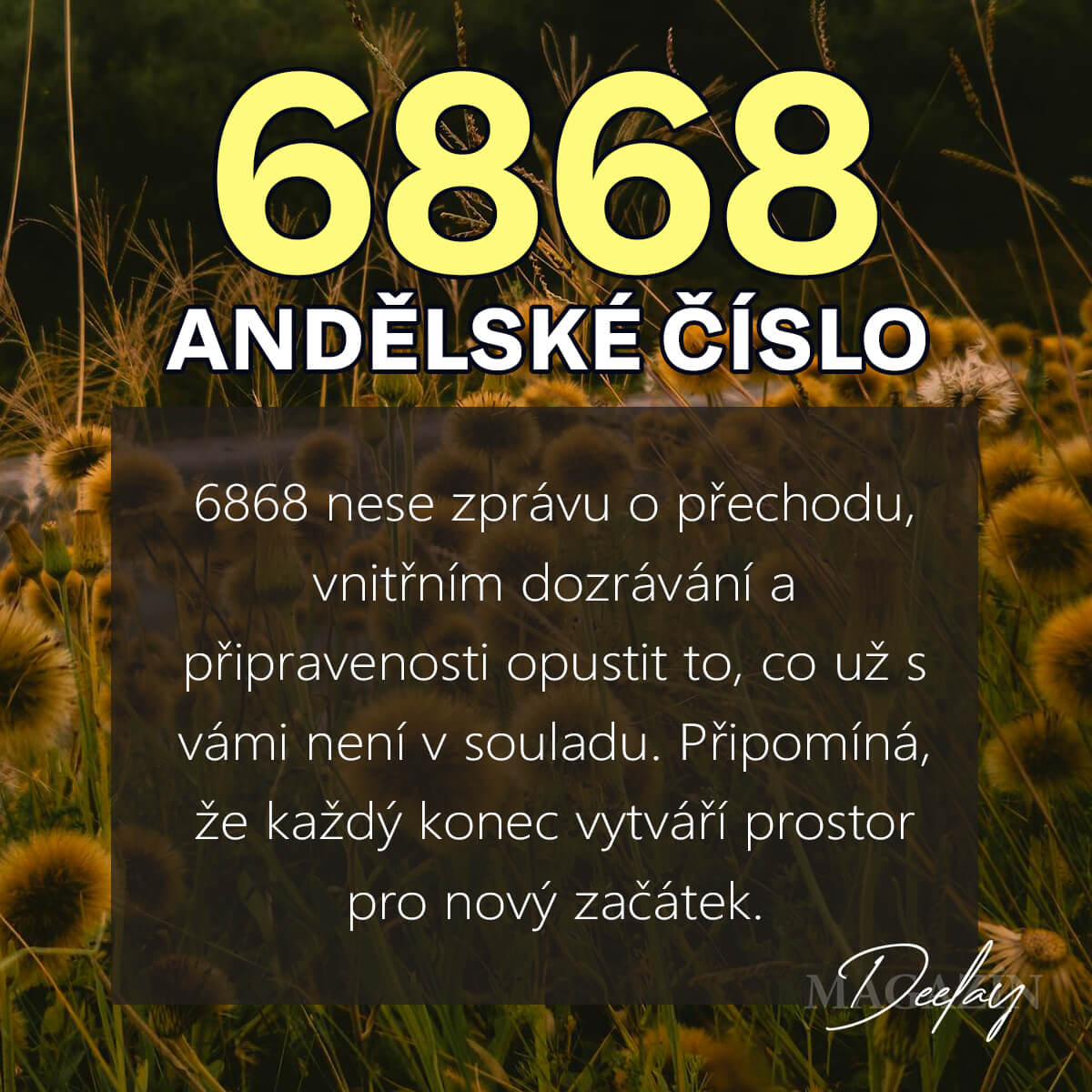 6868 andělské číslo