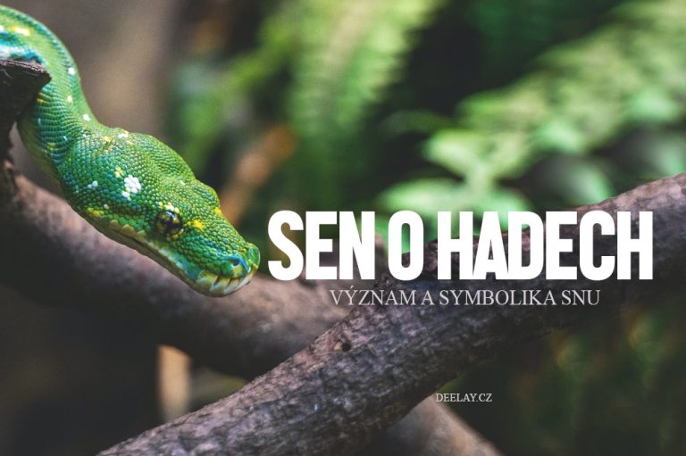 Sen o hadovi: Symbol proměny, instinktu a skrytých pravd