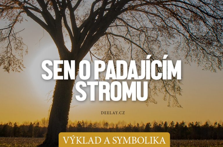 Sen o padajícím stromu: Konec jistoty, nebo nový začátek?