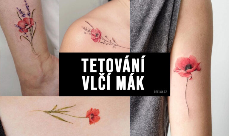 Tetování vlčí mák: Význam, symbolika a proč ho zvolit