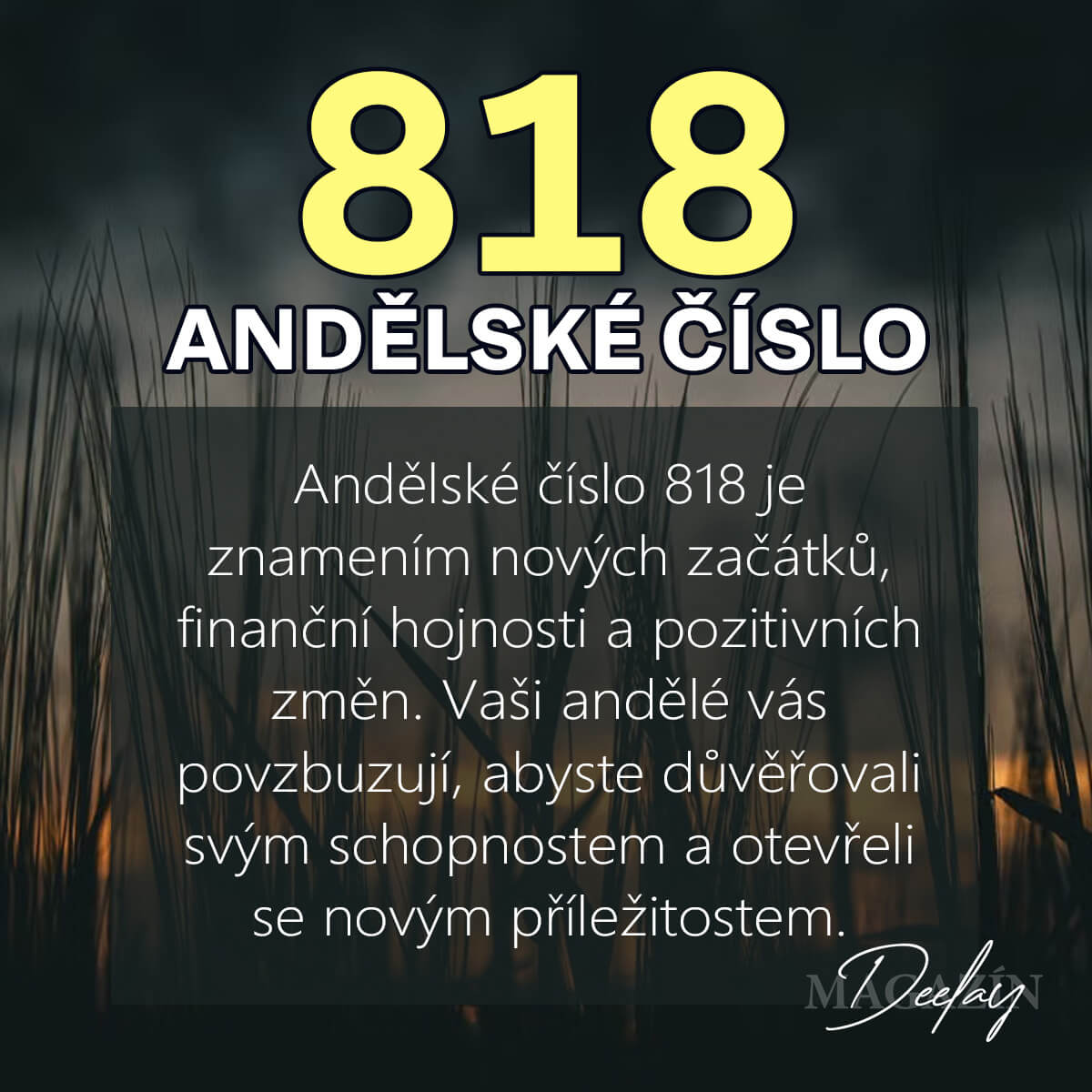 818 andělská čísla
